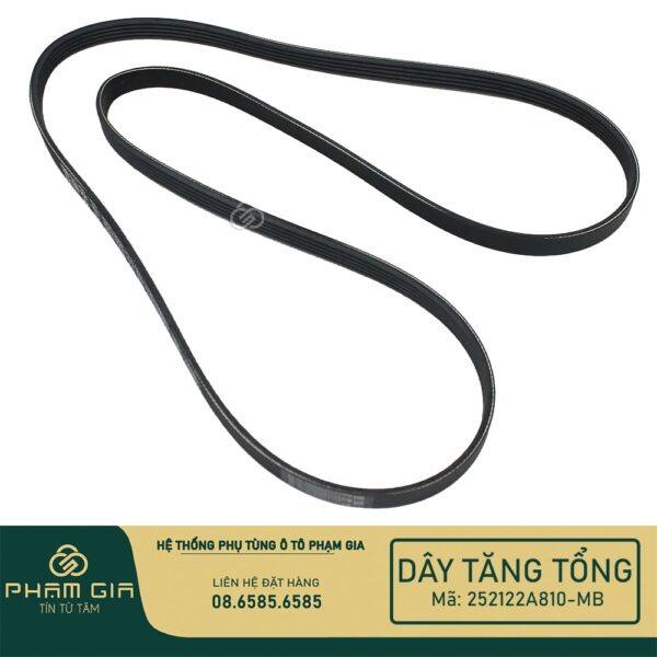 DAY TANG TONG 252122A810-MB
