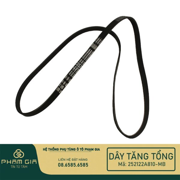 DAY TANG TONG 252122A810-MB