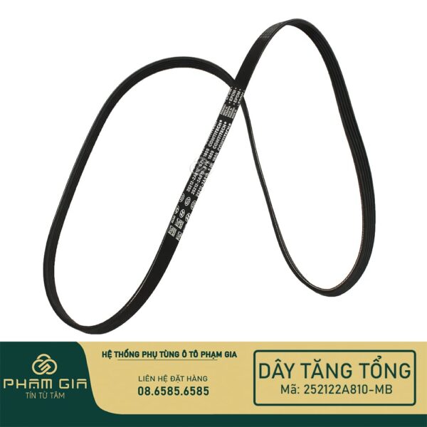 DAY TANG TONG 252122A810-MB