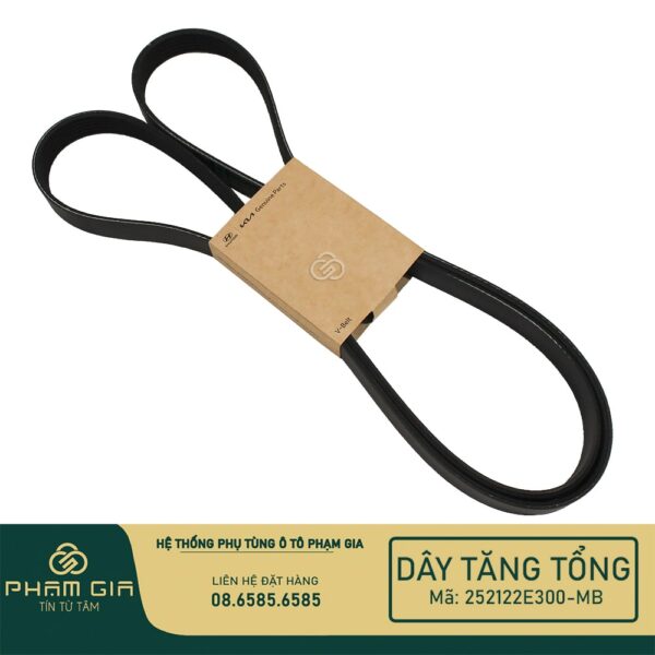 DAY TANG TONG 252122E300-MB