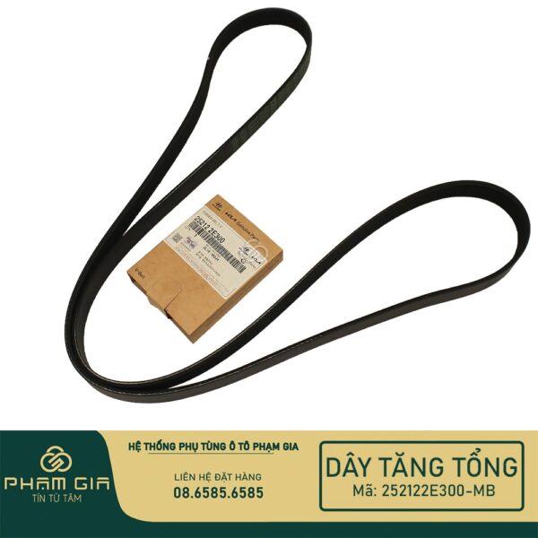 DAY TANG TONG 252122E300-MB