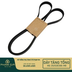 DAY TANG TONG 252122E300-MB
