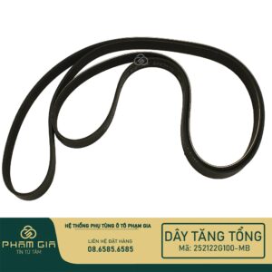 DAY TANG TONG 252122G100-MB (2)