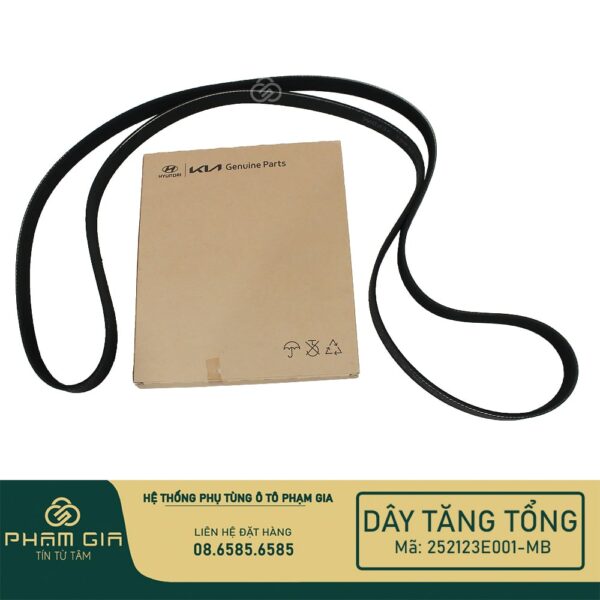 DAY TANG TONG 252123E001-MB