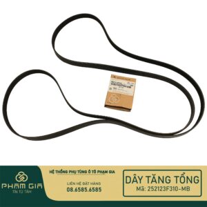 DAY TANG TONG 252123F310-MB
