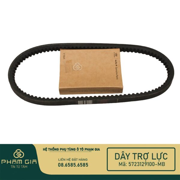 DAY TRO LUC 5723129100-MB