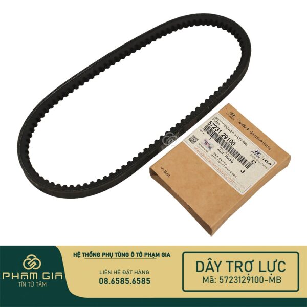 DAY TRO LUC 5723129100-MB