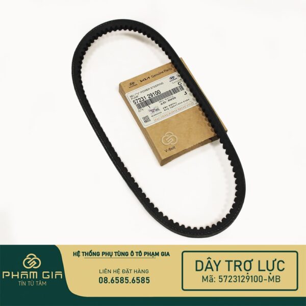 DAY TRO LUC 5723129100-MB