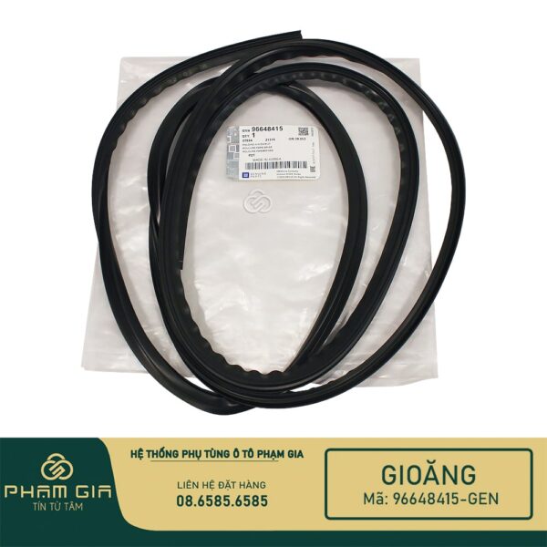 GIOANG KINH 96648415-GEN