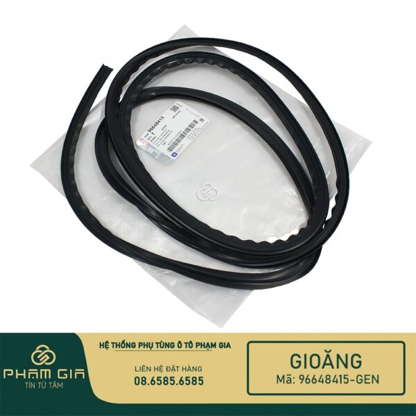 GIOANG KINH 96648415-GEN