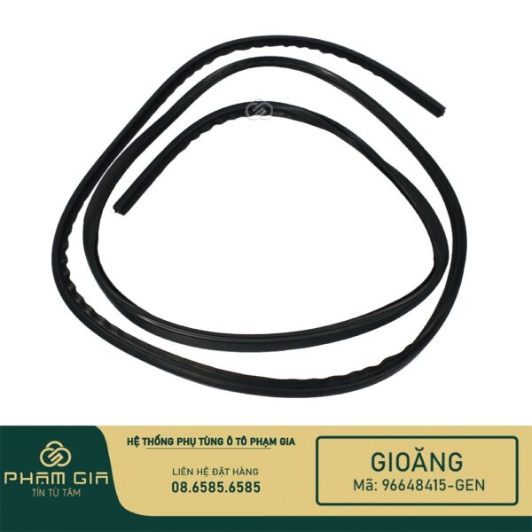 GIOANG KINH 96648415-GEN