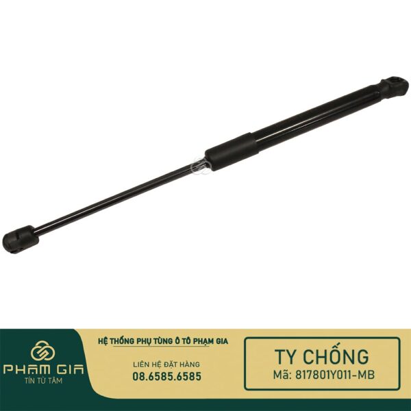 TI CHONG CUA HAU 817801Y011-MB