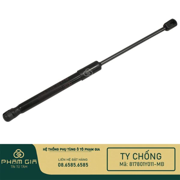 TI CHONG CUA HAU 817801Y011-MB