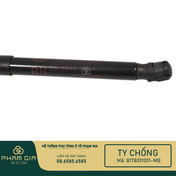TI CHONG CUA HAU 817801Y011-MB
