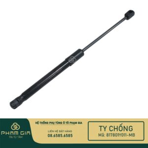 TI CHONG CUA HAU 817801Y011-MB