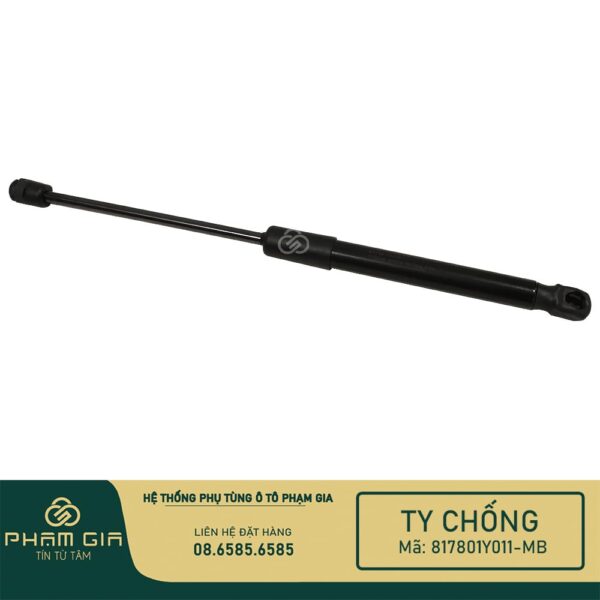 TI CHONG CUA HAU 817801Y011-MB