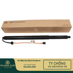 TI CHONG CUA HAU 81831R0100-MB