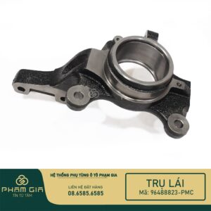 TRU LAI 96488823-PMC