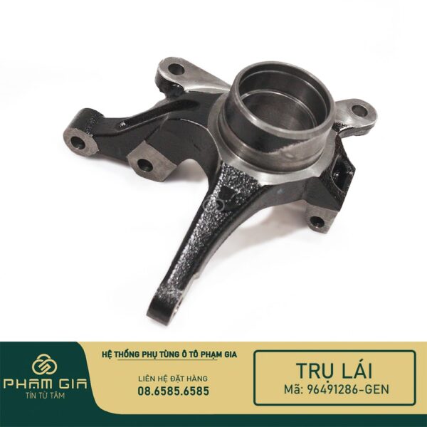 TRU LAI 96491286-GEN