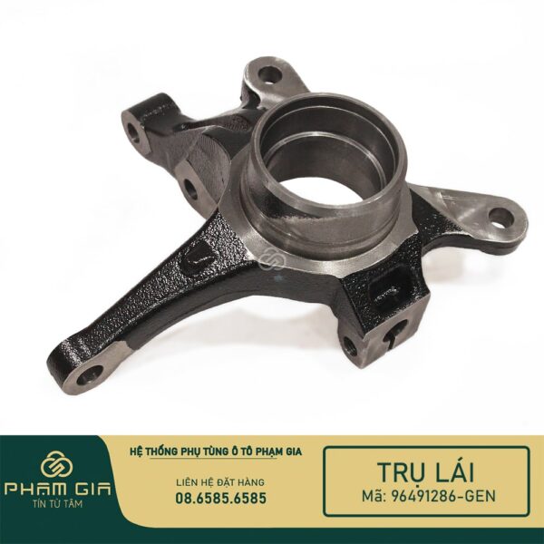 TRU LAI 96491286-GEN