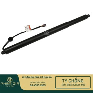 TY CHONG CUA HAU 81831S1100-MB