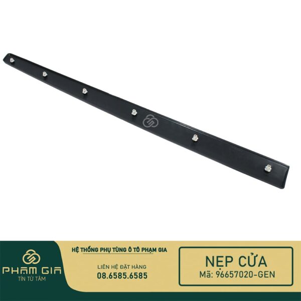 NEP CUA 96657020-GEN
