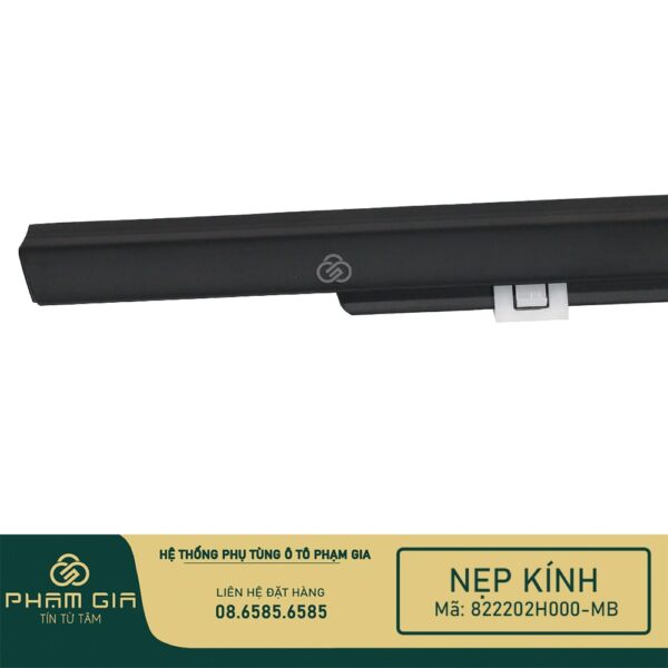 NEP KINH 822202H000-MB