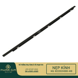 NEP KINH 822202H000-MB
